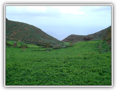 Teneriffa - Wanderung zum Höhlendorf Chinamada