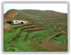 Teneriffa - Wanderung zum Höhlendorf Chinamada