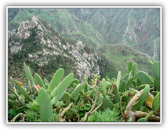 Teneriffa - Wanderung zum Höhlendorf Chinamada