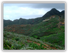 Teneriffa - Wanderung zum Höhlendorf Chinamada